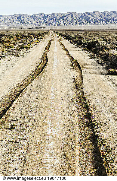 Tire tracks in dirt road.