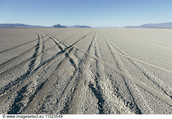 Tire tracks on playa  Black Rock Desert  Nevada