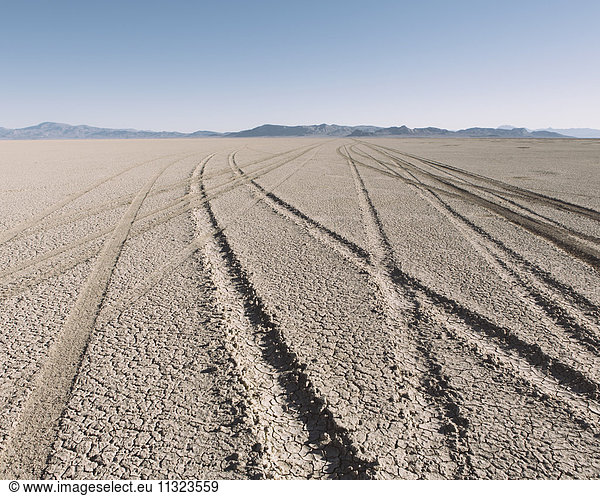 Tire tracks on playa  Black Rock Desert  Nevada
