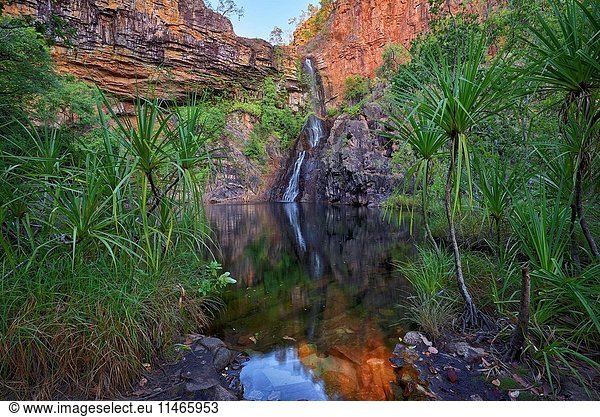 Tjanera Falls on Sandy Creek. Litchfield National Park  Northern Territory  Australia. (Photo by: Auscape/UIG)