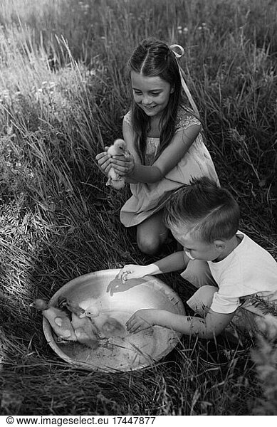 Toddler boy and girl play with the ducklings at the farm