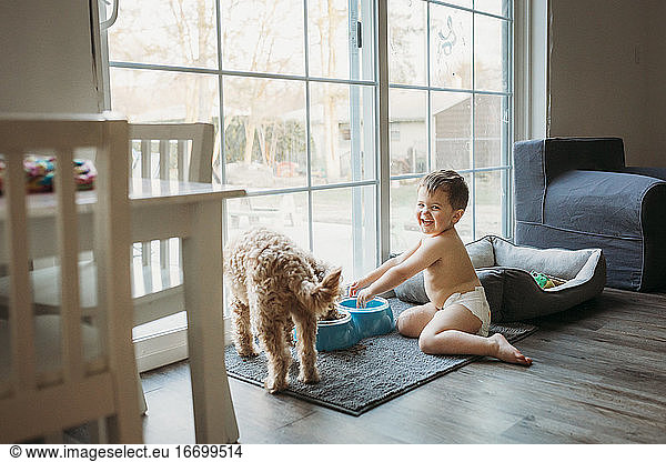 Toddler boy in diaper playing with dog's water dish in living room