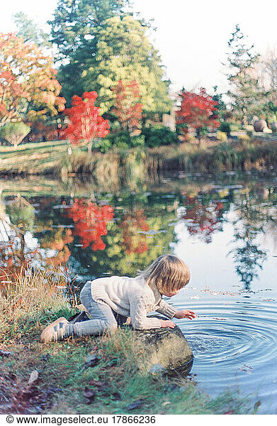 Toddler boy leans over rock to look in pond in autumn