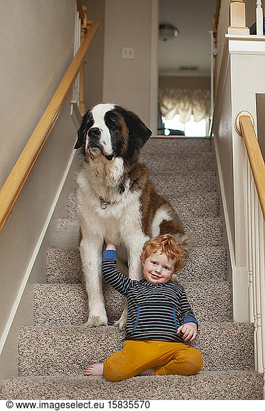 Toddler boy smiling and leaning on large dog at home on the stairs
