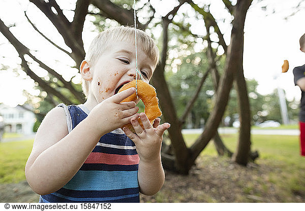 Toddler boy uses hands to help him eat donut hanging from tree branch