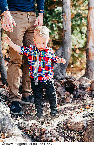Toddler Boy Walks in Forest with Father