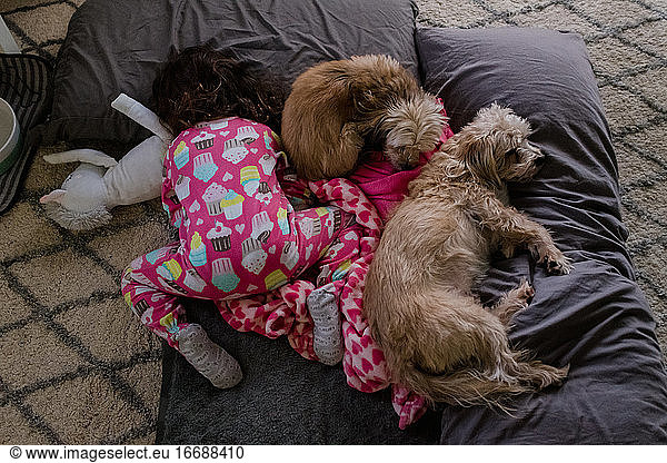 toddler girl and two small dogs sleeping on the floor