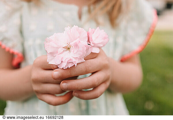 toddler girl holding cherry blossoms