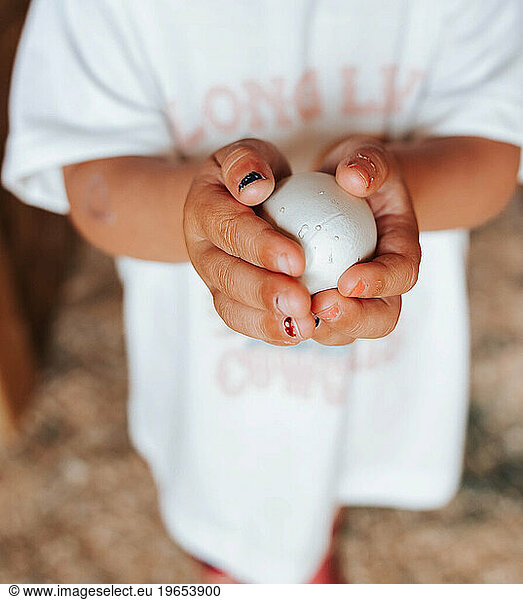 Toddler Girl holds chicken egg in hands carefully.