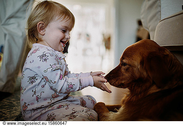 toddler interacting and smiling with golden retriever