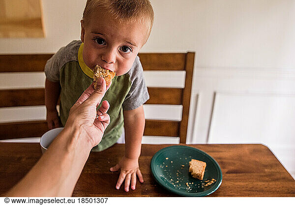 Toddler looking at camera taking bite from a sandwich being fed to him