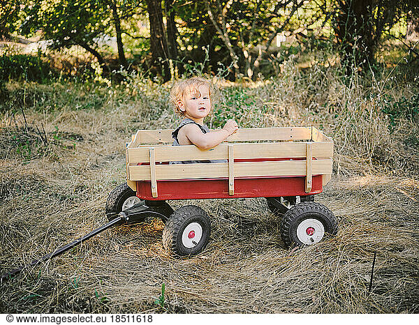 Toddler sits in a radio flyer wagon in Marin County  California.