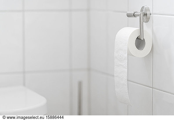 Toilet roll in white bath
