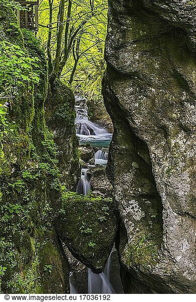 Tolmin-Schluchten  Slowenien. Der Bärenkopf   eine natürliche Brücke über die Schlucht des Flusses Zadlascica  Triglav-Nationalpark  Slowenien  Europa