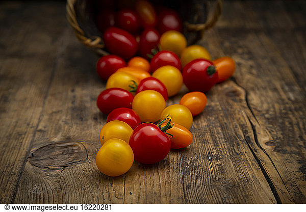 Tomaten  die aus dem Weidenkorb fallen
