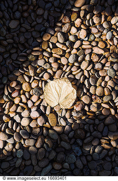 Top view sunny light on fall yellow autumn leaf stone background