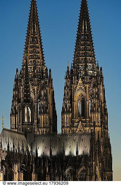Tops of Cologne Cathedral  Cologne  North Rhine-Westphalia  Germany  Europe