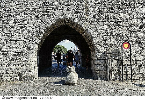 Tor in der Stadtmauer mit Skulptur aus Stein  Gotlandschaf als Absperrung  Poller in der Fußgängerzone  Altstadt von Visby  Insel Gotland  Schweden  Europa