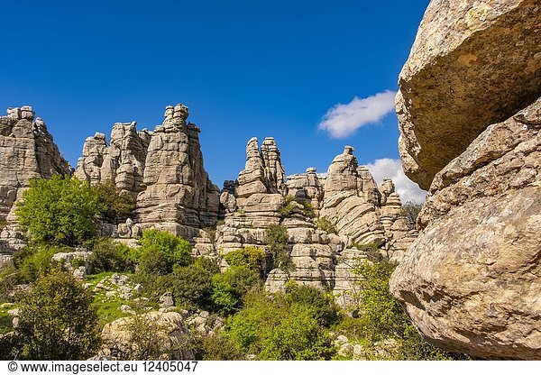 Torcal de Antequera  Erosion working on Jurassic limestones  Málaga province. Andalusia  Southern Spain Europe.
