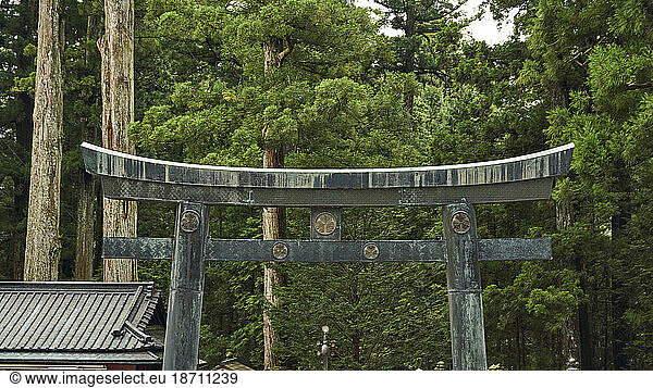 Torii Gate of the Futarasan jinja shrine in Nikko city  Japan