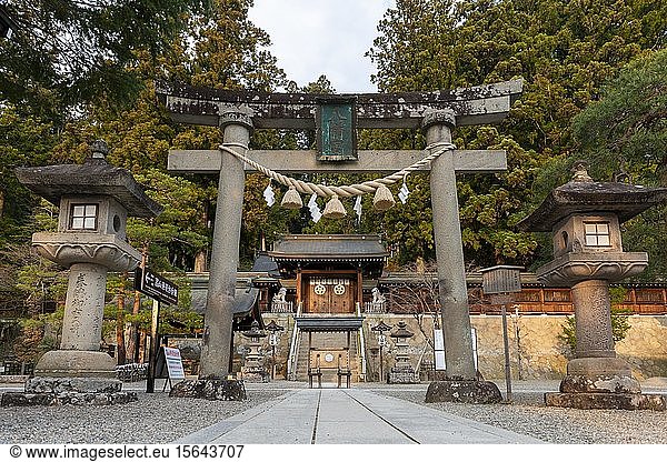 Torii Tor  Sakurayama Hachimangu Shrine  Takayama  Gifu  Japan  Asia