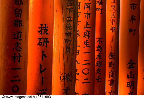 Torii-Tore  Fushimi Inari-Schrein  Kyoto  Honshu  Japan