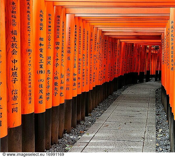 Torii-Tore  Fushimi Inari-taisha-Schrein  Hauptschrein von Inari in Fushimi-ku  Detail  Kyoto  Kansai-Region  Japan