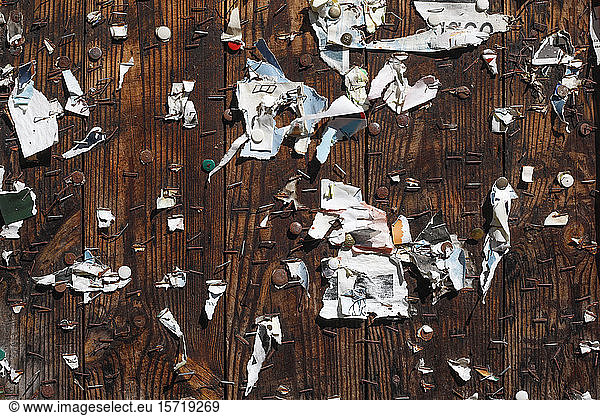 Torn pieces of paper pinned to wooden boards