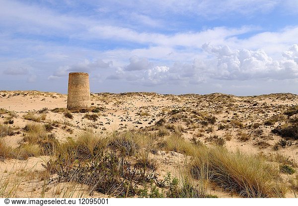 Torre Carbonero. Doñana National Park. Huelva province. Andalusia. Spain