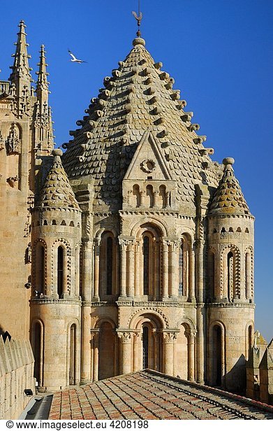 Torre del Gallo. Catedral Vieja. Salamanca. Spain