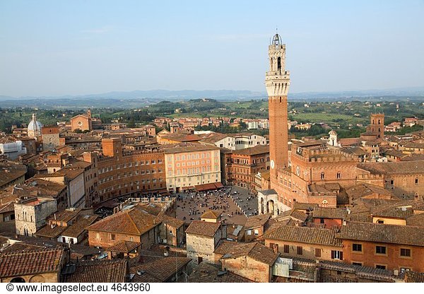 Torre del mangia and cityscape  Siena  Italy