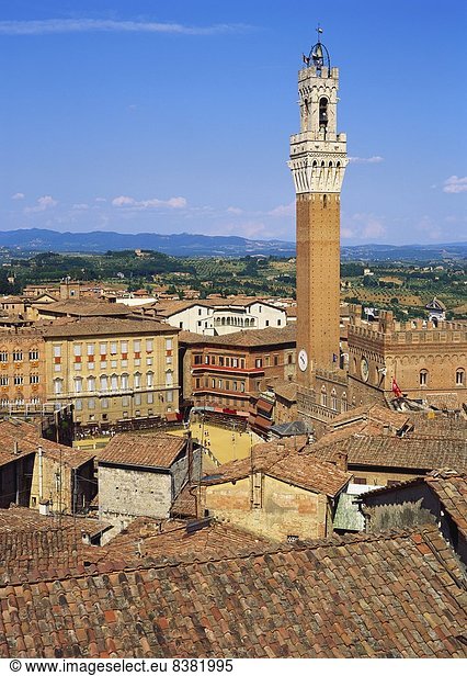 Torre del Mangia  Siena  Italien