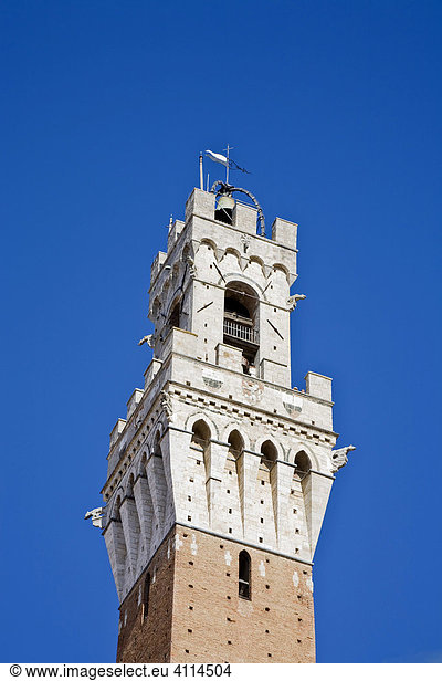 Torre del Mangia Siena Toskana Italien