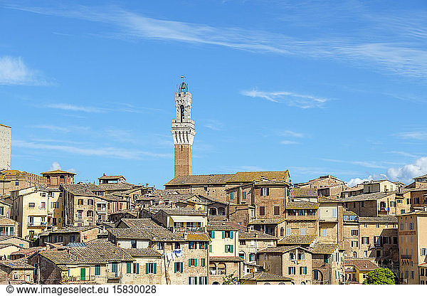 Torre del Mangia und Gebäude in der Altstadt  Siena  Toskana  Italien