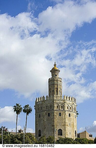 Torre del Oro  Sevilla  Andalusien  Spanien  Europa.