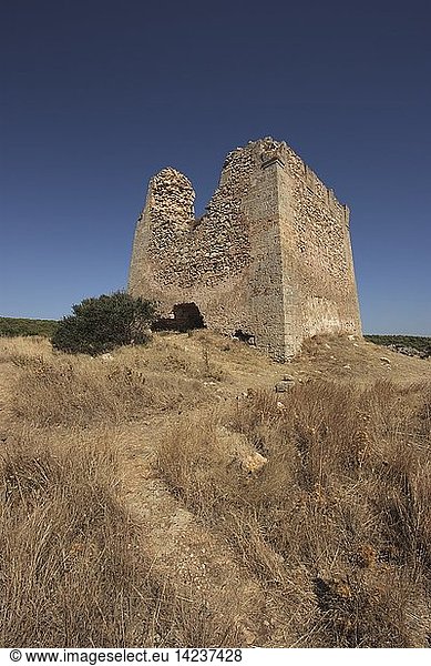 Torre Uluzzo ruins  Nardo  Apulia  Italy
