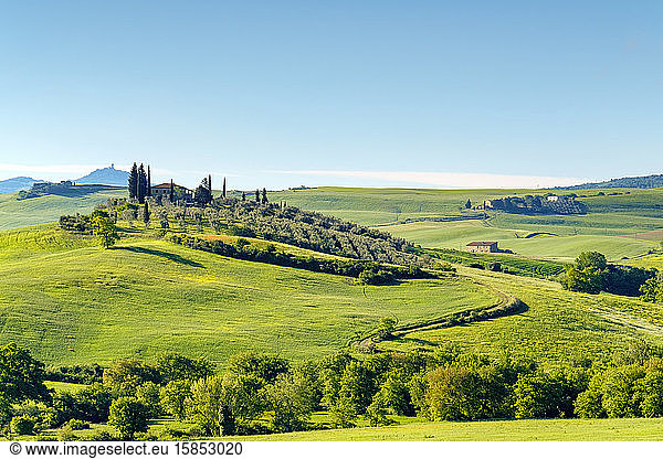 Toskanische Landschaft bei Castiglione d'Orcia  Val d'Orcia  Toskana  Italien