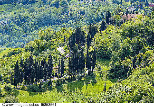 Toskanische Landschaft bei San Miniato  Toskana  Italien  Europa.