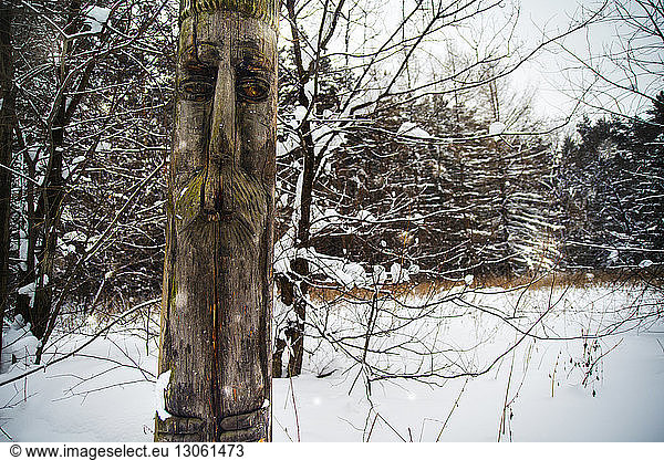 Totempfahl gegen kahle Bäume auf schneebedecktem Feld