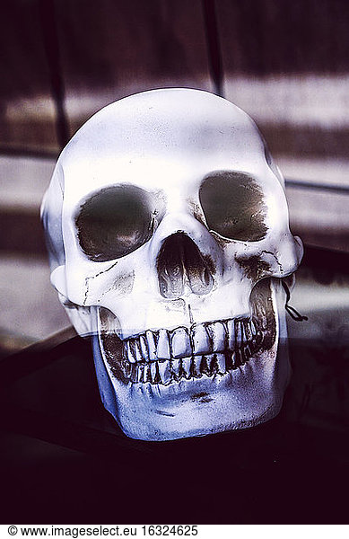 Totenkopf als Halloween-Dekoration