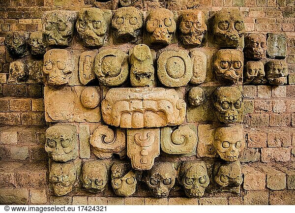 Totenschädel und Tlaloc Skulptur von der Treppe des Tempels 16S  Skulpturen-Museum  Mayastadt  Copan  Honduras  Mittelamerika