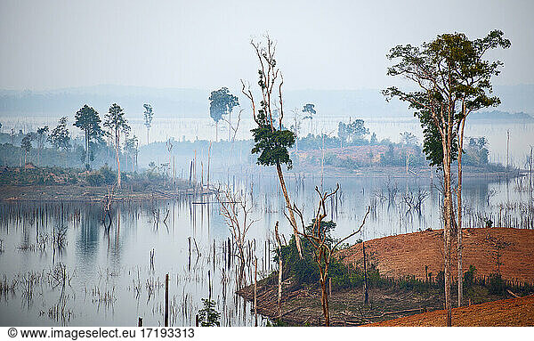 Toter Baum auf Stausee in Laos