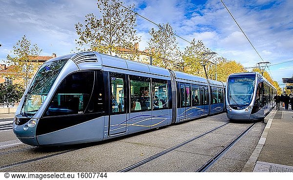 Toulouser Straßenbahnen vor dem Palais de Justice in Toulouse  Frankreich.
