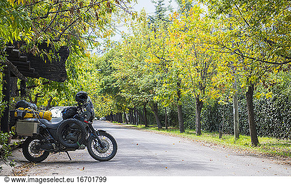 Touring motorcycle on tree lined road  Mendoza  Argentina