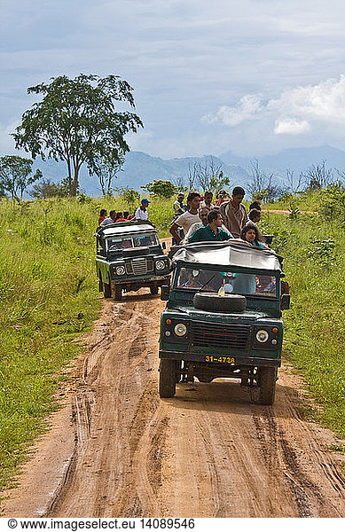 Tourist in Udawalawe National Park