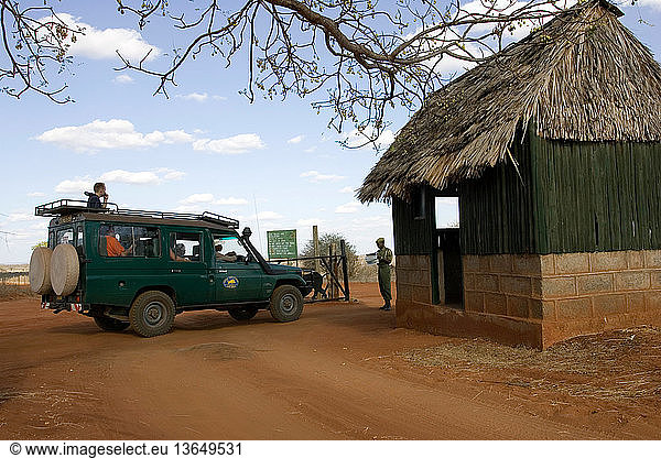 Tourist vehicle at entrance gate to Ngulia Rhino Sanctuary. Tsavo National Park West is a protected stronghold for the highly endangered Black or Hook-lipped Rhinoceros which is now a CITES Appendix 1 listed species. From the original three rhinos captured from the Tsavo West area  a further three  then 15 more were introduced from the Nairobi National Park population. Now covering an area of 67 kilometers protected by a solar powered electric fence  numbers have increased to over 70 individuals as of March 2006. Around 5 new calves are born every year. Unfortunately numbers of elephant and buffalo are also increasing in the sanctuary and are beginning to threaten availability of water and also damaging the vegetation.