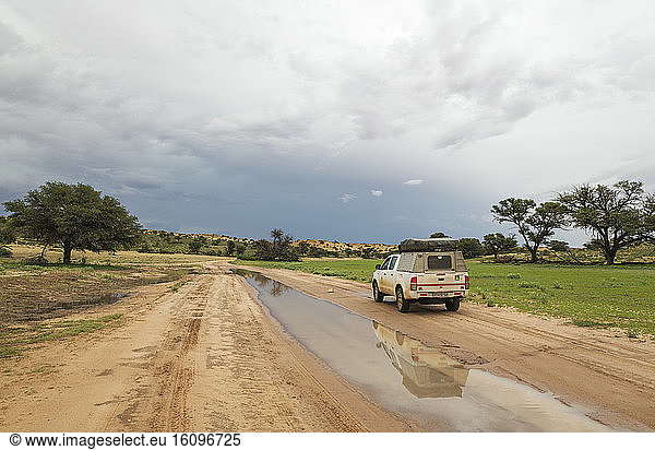 Tourist vehicle during the rainy season in the Aoub riverbed in the Kalahari Desert. Kgalagadi Transfrontier Park South Africa.