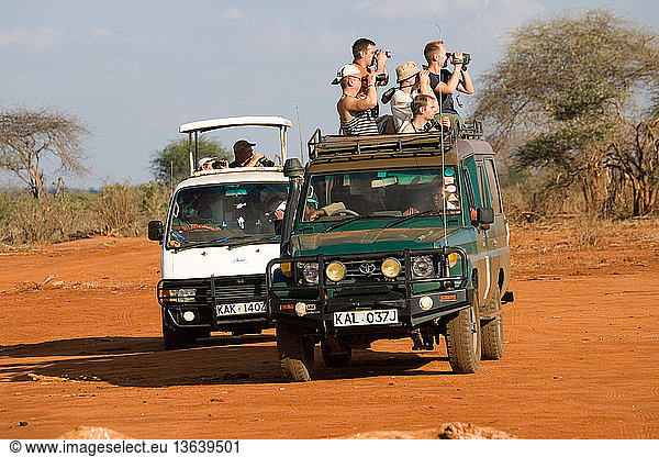 Tourist vehicle watching Black rhino in Ngulia Rhino Sanctuary. Tsavo National Park West is a protected stronghold for the highly endangered Black or Hook-lipped Rhinoceros which is now a CITES Appendix 1 listed species. From the original three rhinos captured from the Tsavo West area, a further three, then 15 more were introduced from the Nairobi National Park population. Now covering an area of 67 kilometers protected by a solar powered electric fence, numbers have increased to over 70 individuals as of March 2006. Around 5 new calves are born every year. Unfortunately numbers of elephant and buffalo are also increasing in the sanctuary and are beginning to threaten availability of water and also damaging the vegetation.