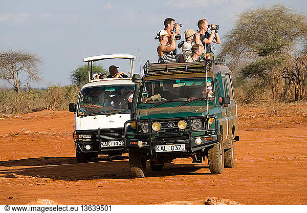 Tourist vehicle watching Black rhino in Ngulia Rhino Sanctuary. Tsavo National Park West is a protected stronghold for the highly endangered Black or Hook-lipped Rhinoceros which is now a CITES Appendix 1 listed species. From the original three rhinos captured from the Tsavo West area  a further three  then 15 more were introduced from the Nairobi National Park population. Now covering an area of 67 kilometers protected by a solar powered electric fence  numbers have increased to over 70 individuals as of March 2006. Around 5 new calves are born every year. Unfortunately numbers of elephant and buffalo are also increasing in the sanctuary and are beginning to threaten availability of water and also damaging the vegetation.