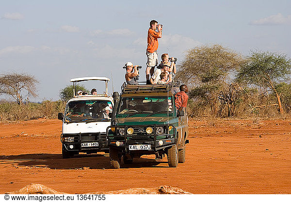 Tourist vehicle watching Black rhino in Ngulia Rhino Sanctuary. Tsavo National Park West is a protected stronghold for the highly endangered Black or Hook-lipped Rhinoceros which is now a CITES Appendix 1 listed species. From the original three rhinos captured from the Tsavo West area  a further three  then 15 more were introduced from the Nairobi National Park population. Now covering an area of 67 kilometers protected by a solar powered electric fence  numbers have increased to over 70 individuals as of March 2006. Around 5 new calves are born every year. Unfortunately numbers of elephant and buffalo are also increasing in the sanctuary and are beginning to threaten availability of water and also damaging the vegetation.